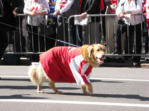 IMG_4400_sm Garnitur szyty na miarę?